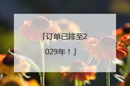 订单已排至2029年！