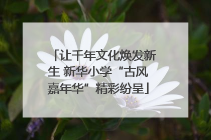 让千年文化焕发新生 新华小学“古风嘉年华”精彩纷呈