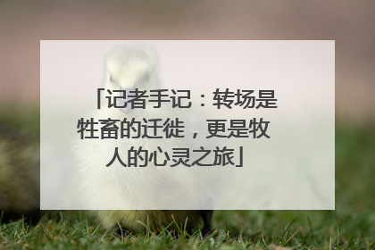 记者手记：转场是牲畜的迁徙，更是牧人的心灵之旅