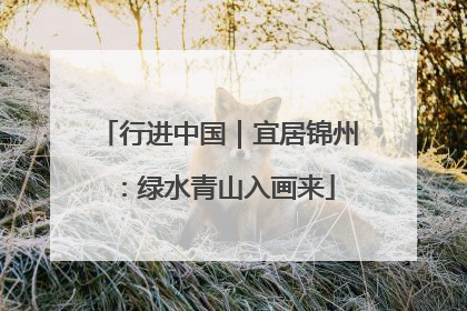 行进中国｜宜居锦州：绿水青山入画来