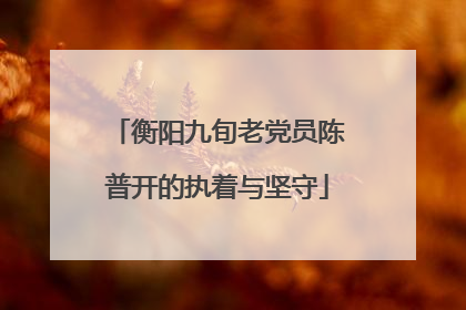 衡阳九旬老党员陈普开的执着与坚守