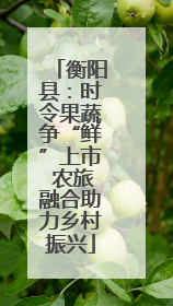 衡阳县：时令果蔬争“鲜”上市 农旅融合助力乡村振兴