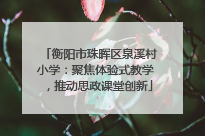 衡阳市珠晖区泉溪村小学：聚焦体验式教学，推动思政课堂创新