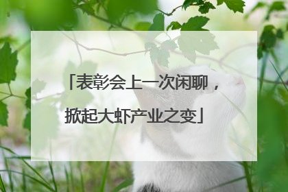 表彰会上一次闲聊，掀起大虾产业之变