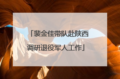 裴金佳带队赴陕西调研退役军人工作