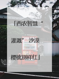 西农智慧“灌溉” 沙漠樱桃别样红
