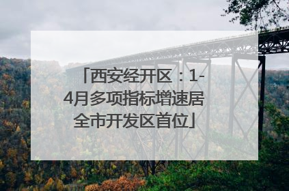 西安经开区：1-4月多项指标增速居全市开发区首位