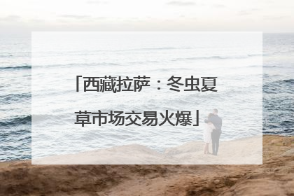 西藏拉萨：冬虫夏草市场交易火爆