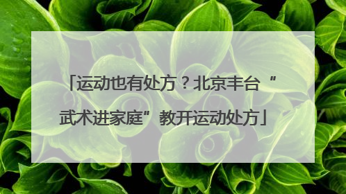 运动也有处方？北京丰台“武术进家庭”教开运动处方