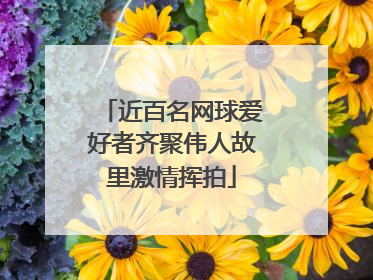 近百名网球爱好者齐聚伟人故里激情挥拍