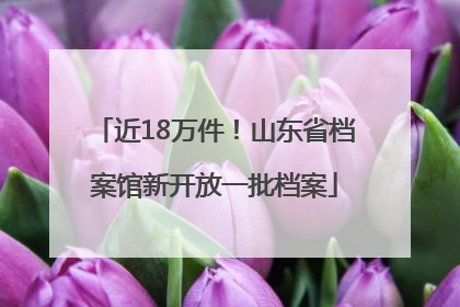 近18万件！山东省档案馆新开放一批档案