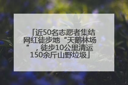 近50名志愿者集结网红徒步地“天鹅林场”，徒步10公里清运150余斤山野垃圾
