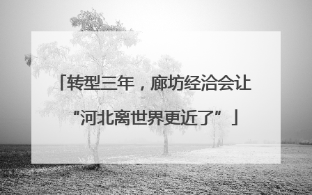 转型三年，廊坊经洽会让“河北离世界更近了”
