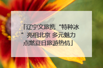 辽宁文旅携“特种冰”亮相北京 多元魅力点燃夏日旅游热情