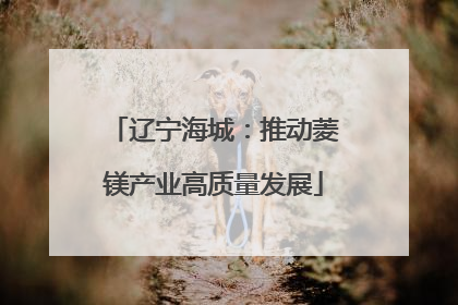 辽宁海城：推动菱镁产业高质量发展