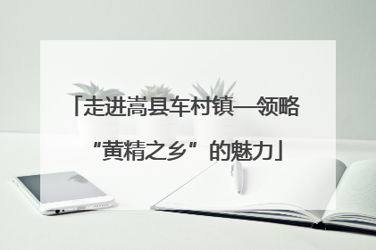 走进嵩县车村镇—领略“黄精之乡”的魅力