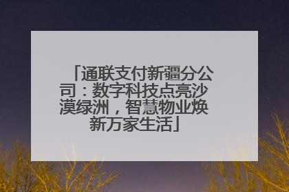 通联支付新疆分公司：数字科技点亮沙漠绿洲，智慧物业焕新万家生活