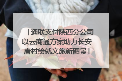 通联支付陕西分公司以云商通方案助力长安唐村绘就文旅新图景