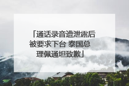 通话录音遭泄露后被要求下台 泰国总理佩通坦致歉