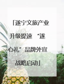 遂宁文旅产业升级提速 “遂心礼”品牌外宣战略启动