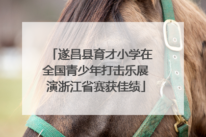 遂昌县育才小学在全国青少年打击乐展演浙江省赛获佳绩