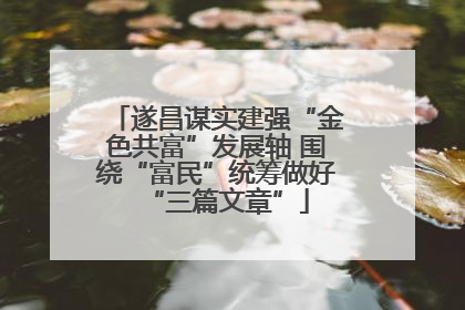 遂昌谋实建强“金色共富”发展轴 围绕“富民”统筹做好“三篇文章”