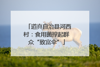 道真自治县河西村：食用菌撑起群众“致富伞”