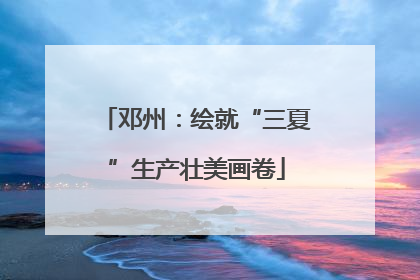 邓州：绘就“三夏”生产壮美画卷