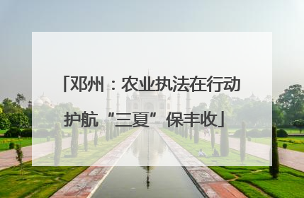 邓州：农业执法在行动 护航“三夏”保丰收