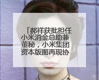 郝祥获批担任小米消金总助兼董秘，小米集团资本版图再现协同扩张