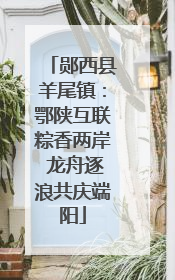 郧西县羊尾镇：鄂陕互联粽香两岸 龙舟逐浪共庆端阳