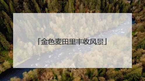 金色麦田里丰收风景