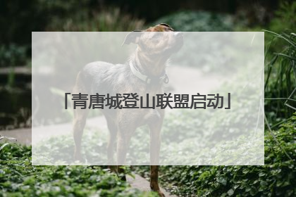 青唐城登山联盟启动