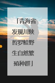 青海省发现川陕哲罗鲑野生自然繁殖种群