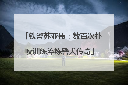 铁警苏亚伟：数百次扑咬训练淬炼警犬传奇