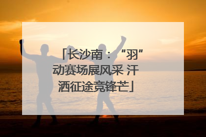长沙南：“羽”动赛场展风采 汗洒征途竞锋芒