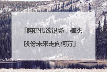 陶建伟欲退场，棒杰股份未来走向何方