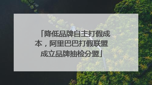 降低品牌自主打假成本，阿里巴巴打假联盟成立品牌抽检分盟
