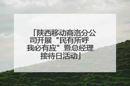 陕西移动商洛分公司开展“民有所呼 我必有应”暨总经理接待日活动