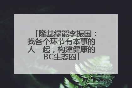 隆基绿能李振国：找各个环节有本事的人一起，构建健康的BC生态圈