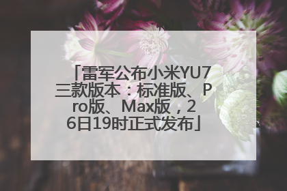 雷军公布小米YU7三款版本：标准版、Pro版、Max版，26日19时正式发布