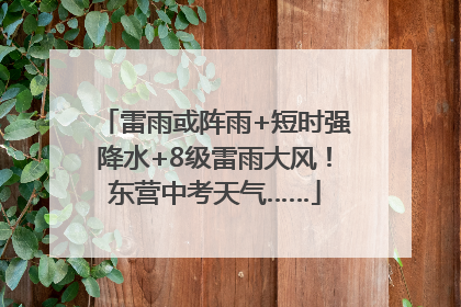 雷雨或阵雨+短时强降水+8级雷雨大风！东营中考天气……