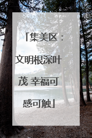 集美区：文明根深叶茂 幸福可感可触