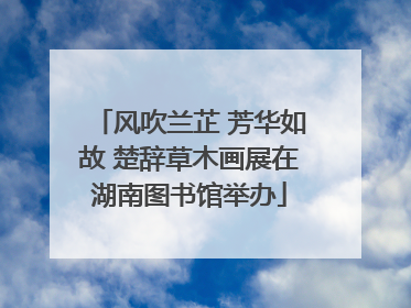 风吹兰芷 芳华如故 楚辞草木画展在湖南图书馆举办