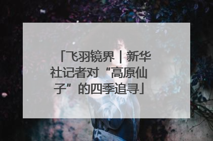 飞羽镜界｜新华社记者对“高原仙子”的四季追寻