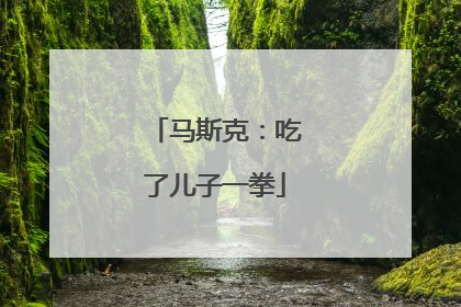 马斯克：吃了儿子一拳