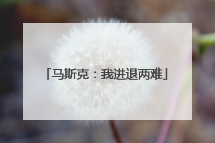 马斯克：我进退两难