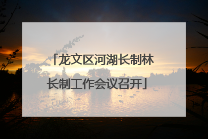 龙文区河湖长制林长制工作会议召开