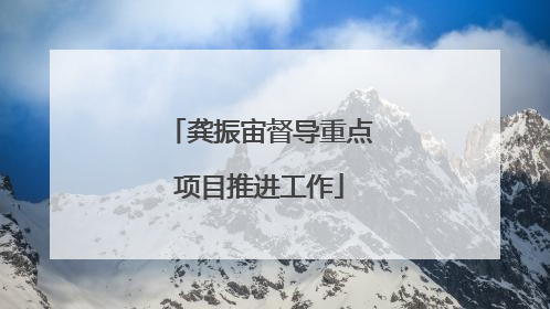 龚振宙督导重点项目推进工作