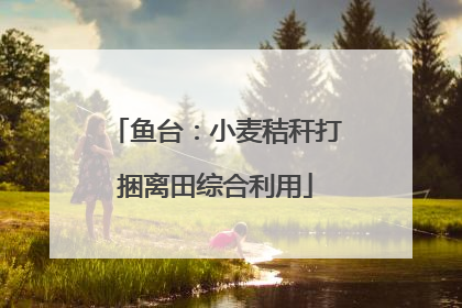 鱼台：小麦秸秆打捆离田综合利用